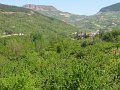 (100) 2009 Mostuejouls